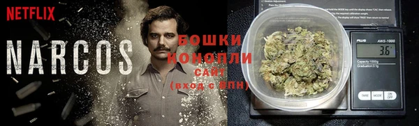 ПСИЛОЦИБИНОВЫЕ ГРИБЫ Бронницы