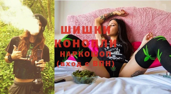 ПСИЛОЦИБИНОВЫЕ ГРИБЫ Бородино