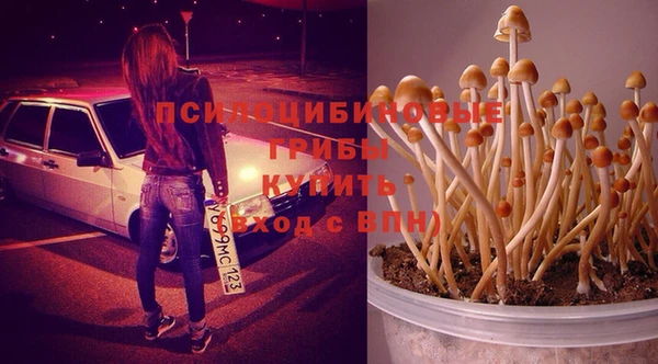 ПСИЛОЦИБИНОВЫЕ ГРИБЫ Бородино