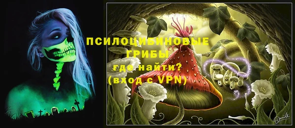 ПСИЛОЦИБИНОВЫЕ ГРИБЫ Бородино