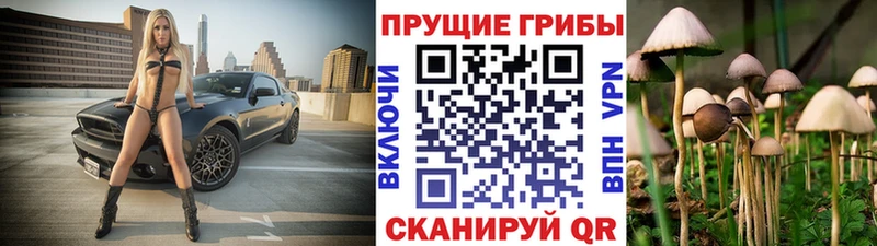 Псилоцибиновые грибы Psilocybe  Сосногорск 